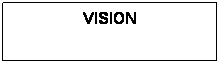 Text Box: VISION
